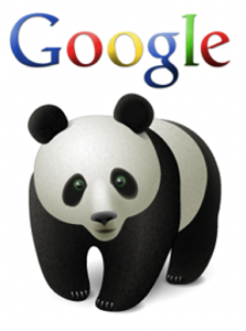 google panda update