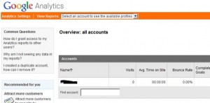 Google Analytics Overview Panel