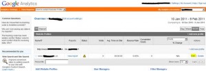 Google Analytics Profile Panel